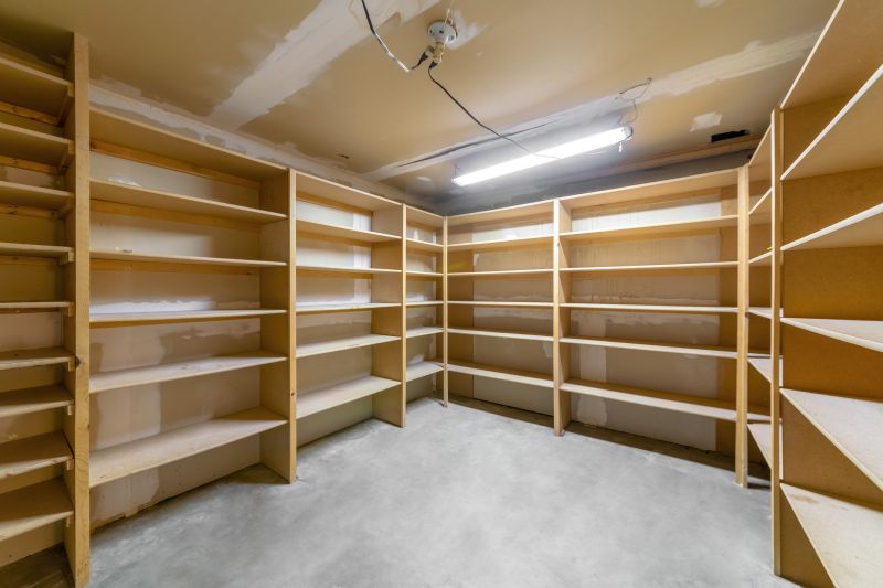 Basement Storage Installation in Frederick, MD